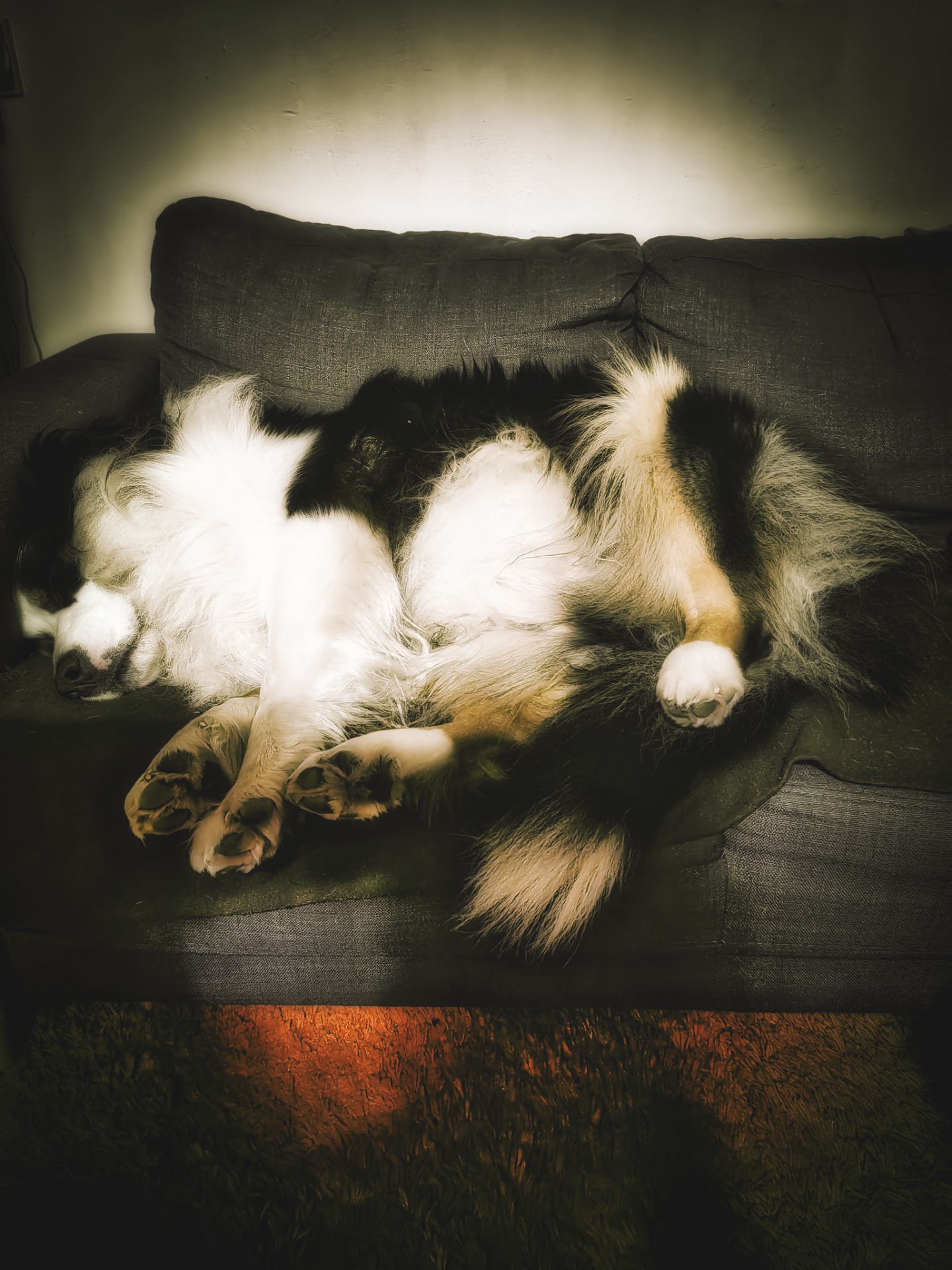 Akim - fotoavideoakimtv