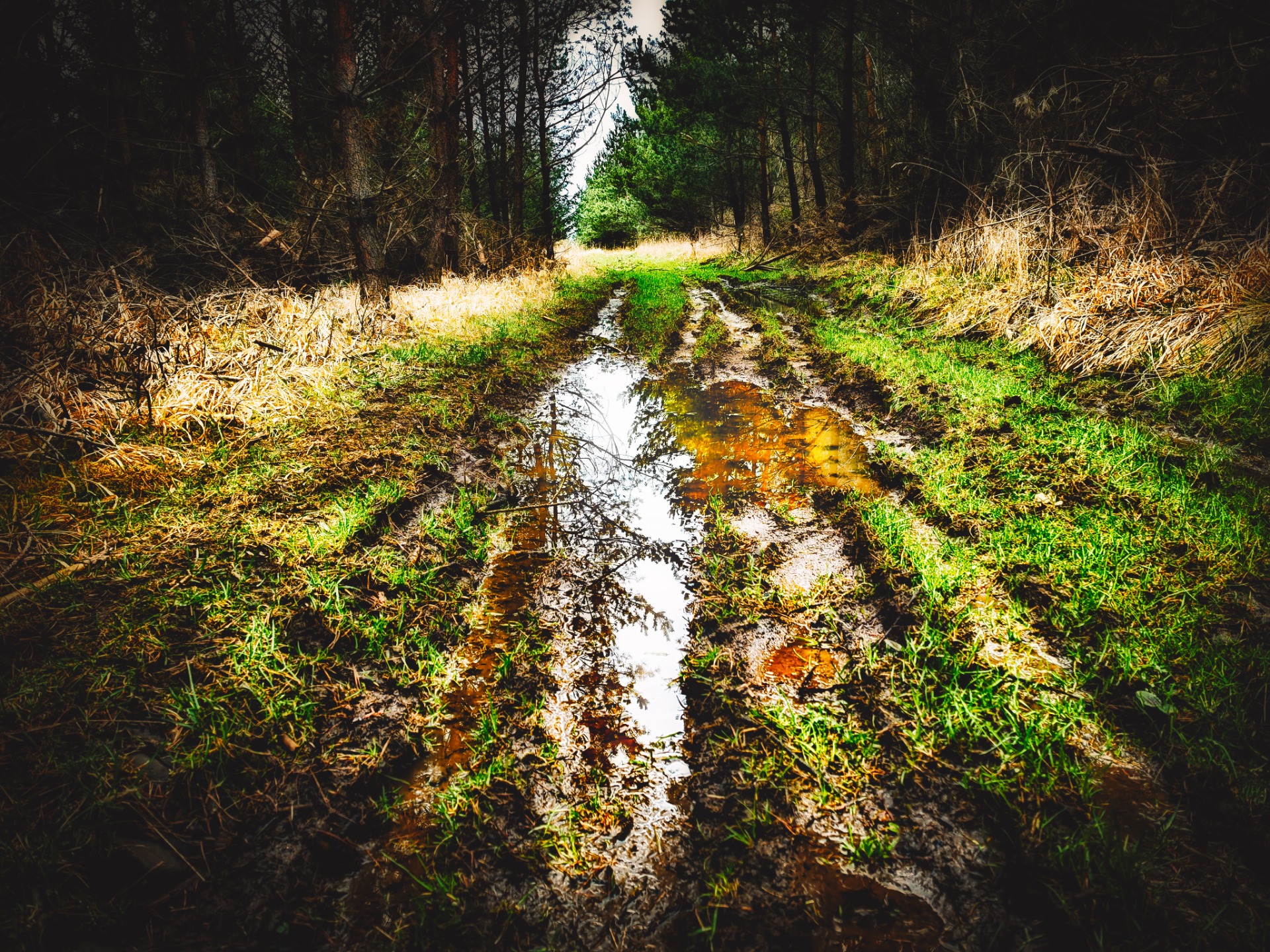 Les - fotoavideoakimtv