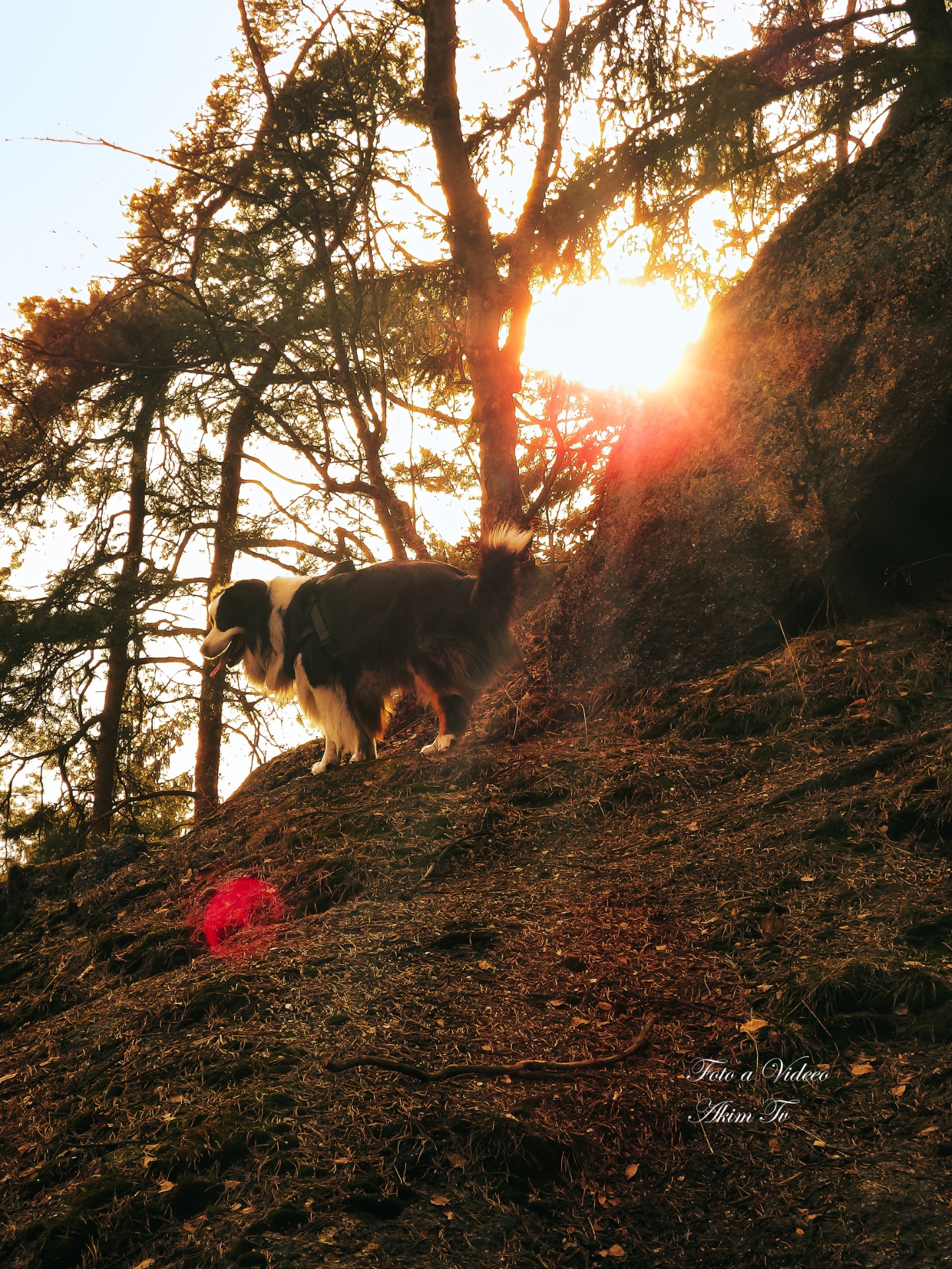 Akim téměř na vrcholu - fotoavideoakimtv