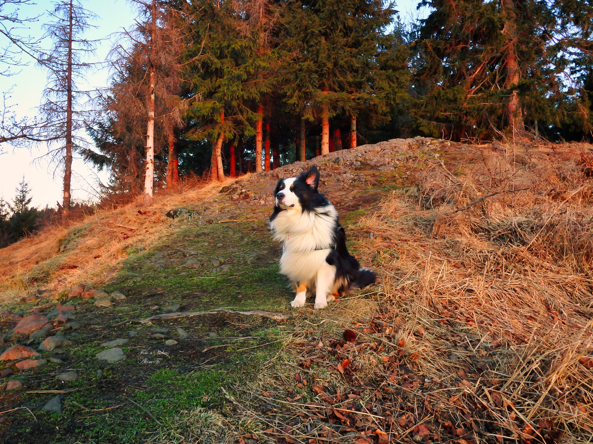 Akim a jeho uši do stran - fotoavideoakimtv