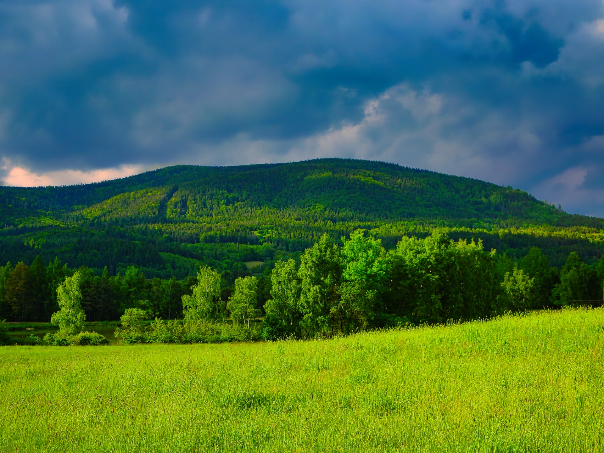 Vlčinec - fotoavideoakimtv