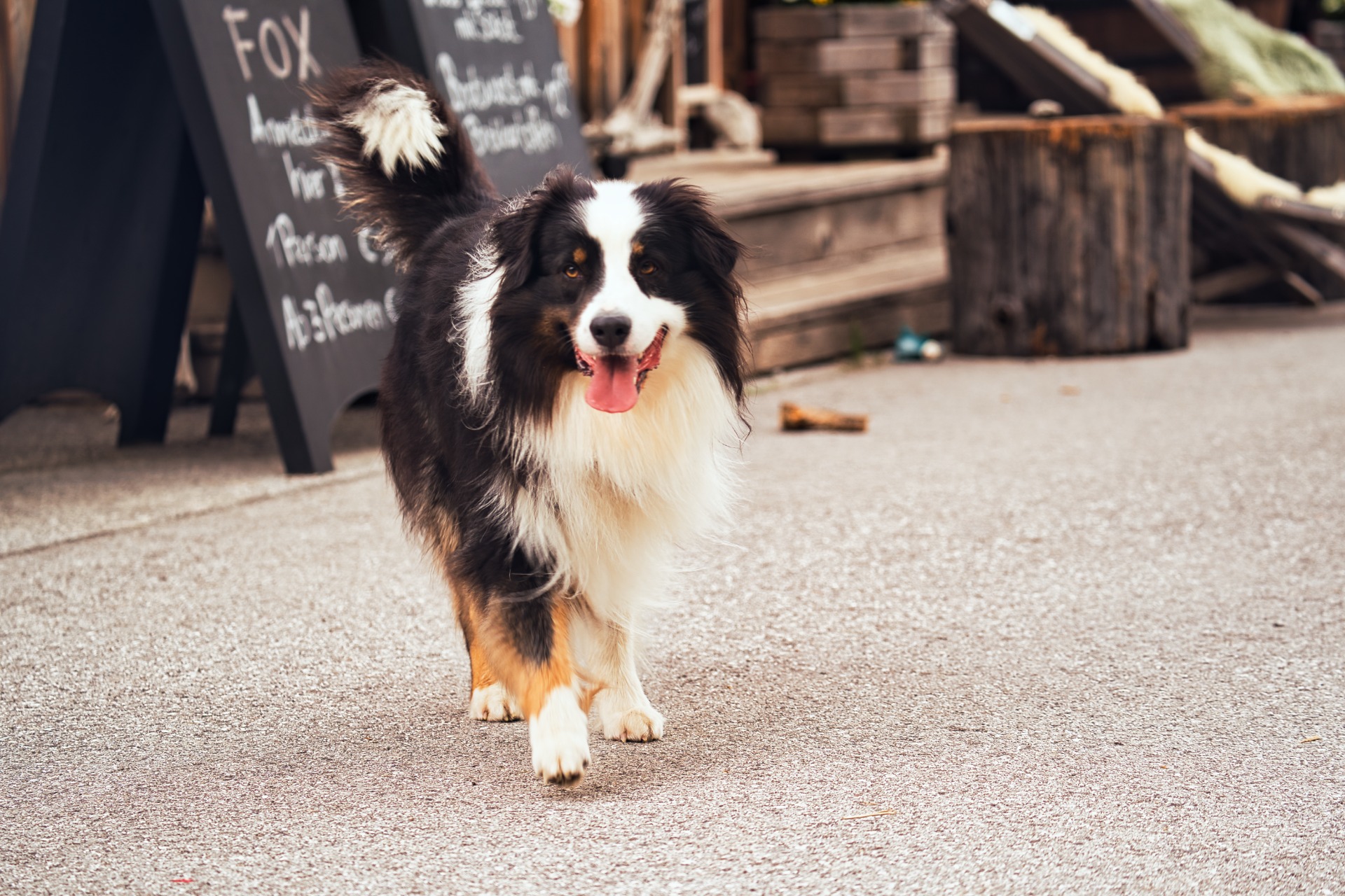 Akim u občerstvení - Schlegeis Stausee -fotoavideoakimtv