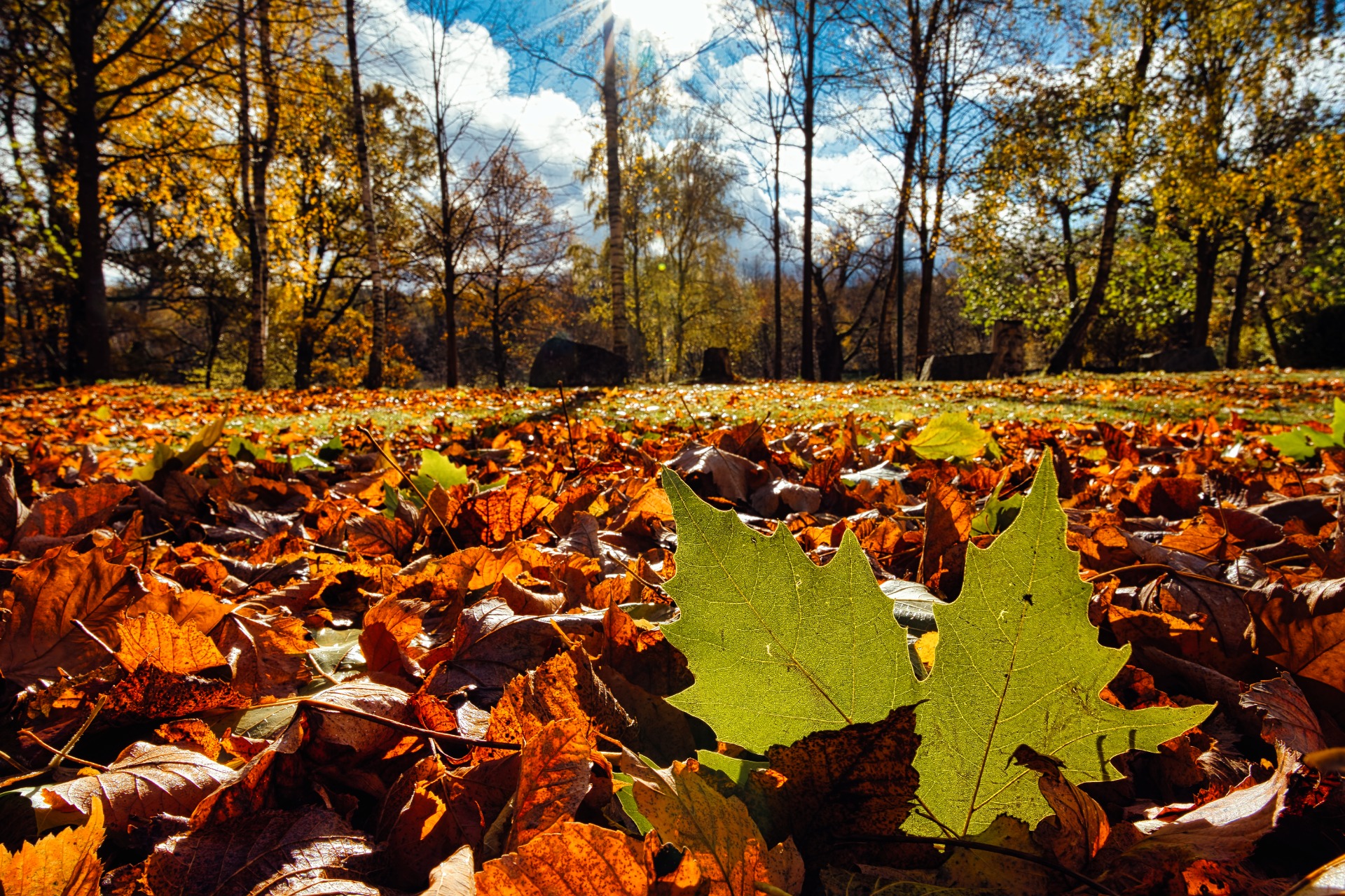 Podzim v Mlázovech - fotoavideoakimtv