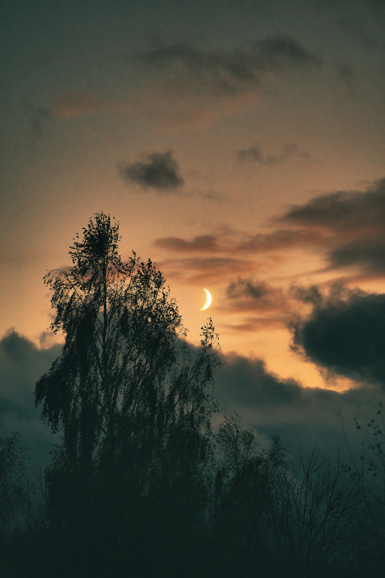 Večer v Mlázovech - fotoavideoakimtv